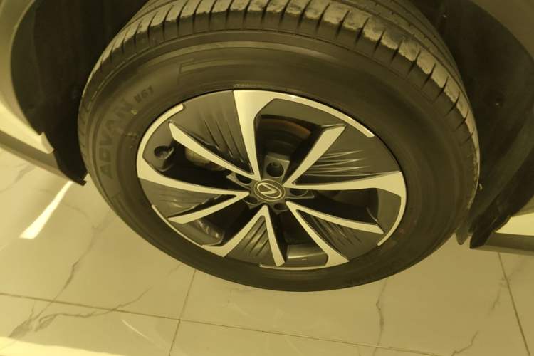 Used Lexus RZ 2023 450e All-Wheel Drive Luxury Edition Exterior 5