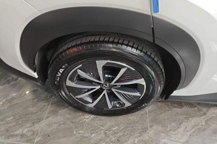 Used Lexus RZ 2023 450e All-Wheel Drive Luxury Edition Exterior 5