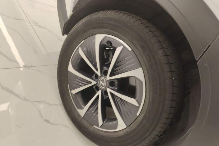 Used Lexus RZ 2023 450e All-Wheel Drive Luxury Edition Exterior 5