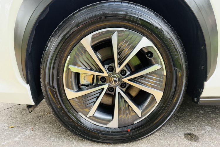 Used Lexus RZ 2023 450e All-Wheel Drive Luxury Edition Exterior 7