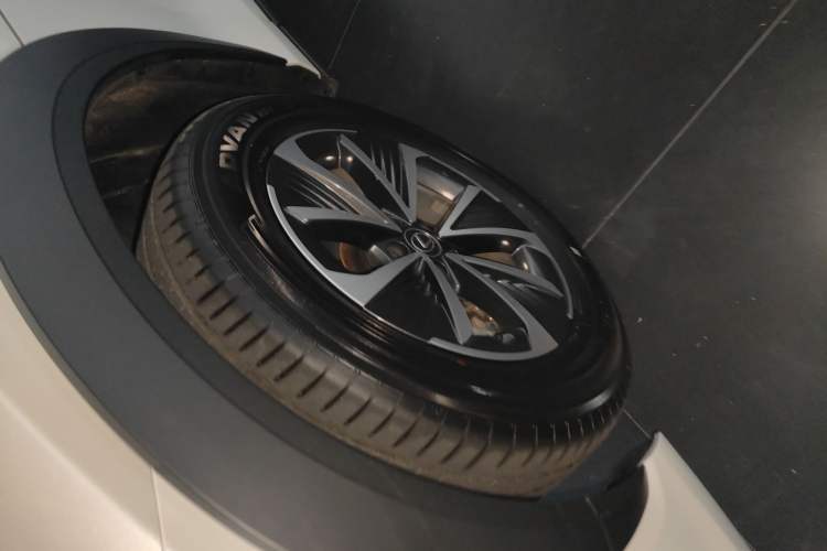 Used Lexus RZ 2023 450e All-Wheel Drive Luxury Edition Exterior 7