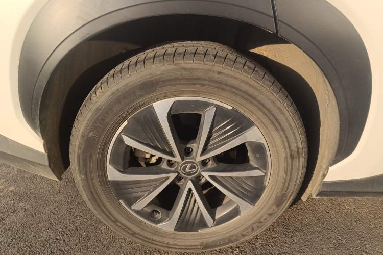 Used Lexus RZ 2023 450e All-Wheel Drive Luxury Edition Exterior 8