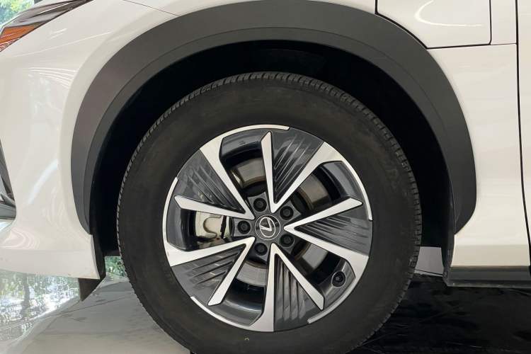 Used Lexus RZ 2023 450e All-Wheel Drive Luxury Edition Exterior 9