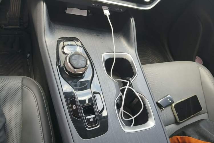 Used Lexus RZ 2023 300e Long-Range Indulgence Edition Gear Lever