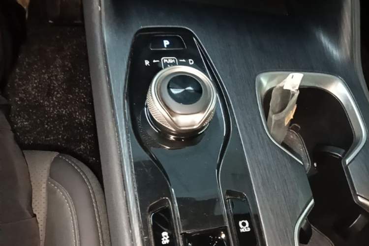 Used Lexus RZ 2023 450e All-Wheel Drive Luxury Edition Gear Lever