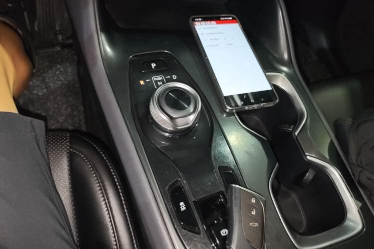 Used Lexus RZ 2023 450e All-Wheel-Drive Long-Range Version Gear Lever
