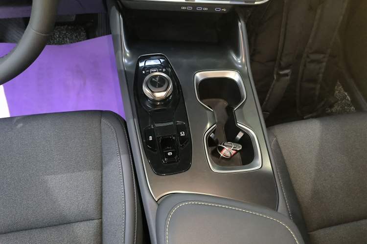 Used Lexus RZ 2023 450e All-Wheel-Drive Long-Range Version Gear Lever