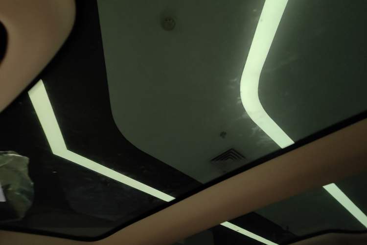 Used Lexus RZ 2023 450e All-Wheel Drive Luxury Edition Headliner