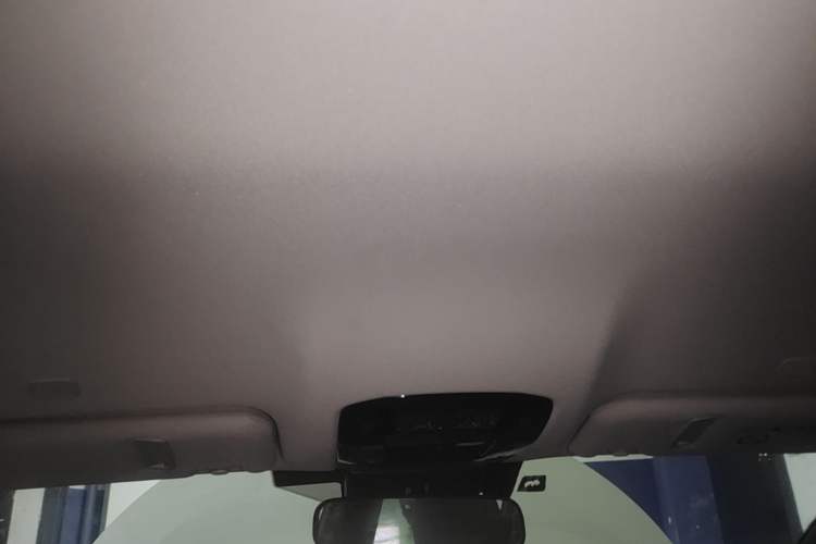 Used Lexus RZ 2023 450e All-Wheel-Drive Long-Range Version Headliner