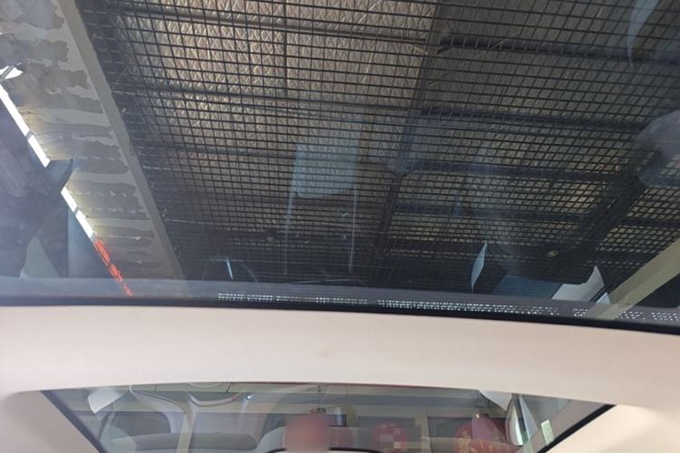 Used Lexus RZ 2023 450e All-Wheel Drive Luxury Edition Headliner
