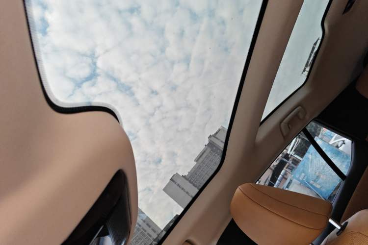 Used Lexus RZ 2023 450e All-Wheel Drive Luxury Edition Headliner