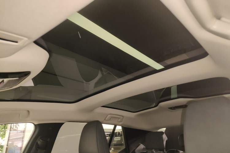 Used Lexus RZ 2023 450e All-Wheel Drive Luxury Edition Headliner