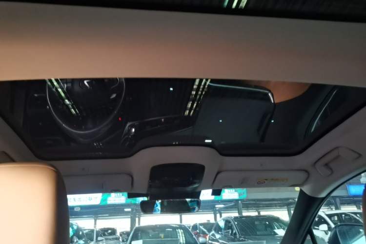 Used Lexus RZ 2023 450e All-Wheel Drive Luxury Edition Headliner