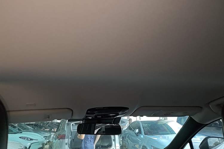 Used Lexus RZ 2023 450e All-Wheel-Drive Long-Range Version Headliner