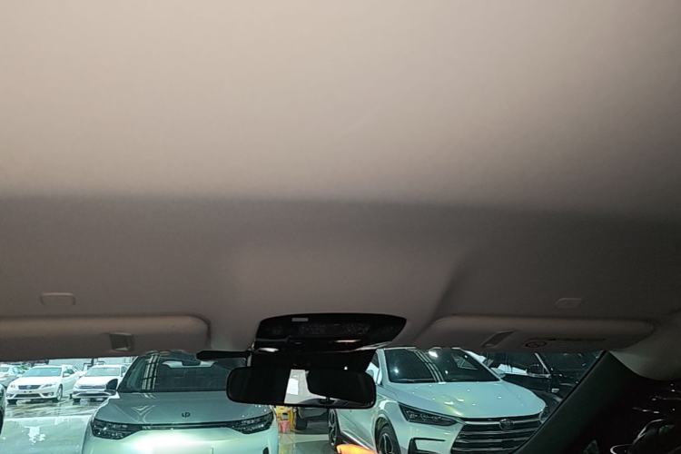 Used Lexus RZ 2023 450e All-Wheel-Drive Long-Range Version Headliner