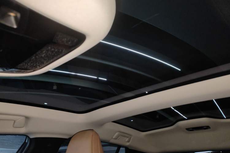 Used Lexus RZ 2023 450e All-Wheel Drive Luxury Edition Headliner