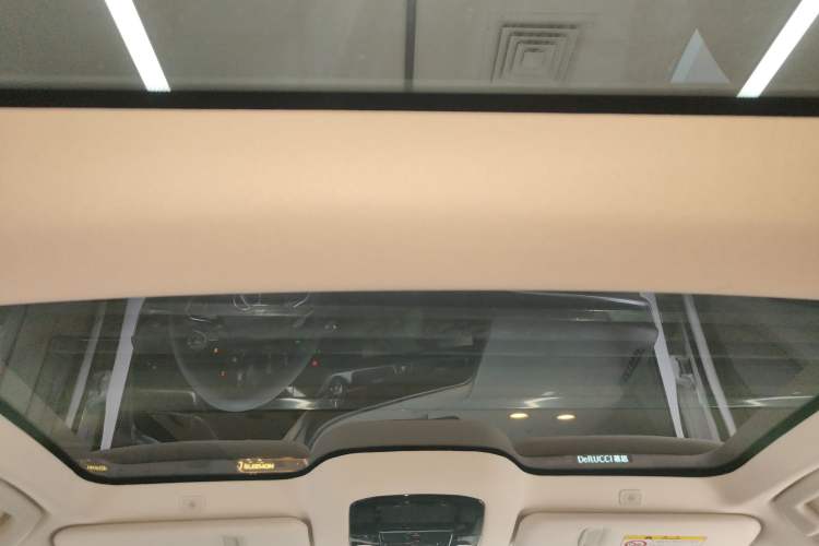 Used Lexus RZ 2023 450e All-Wheel Drive Luxury Edition Headliner