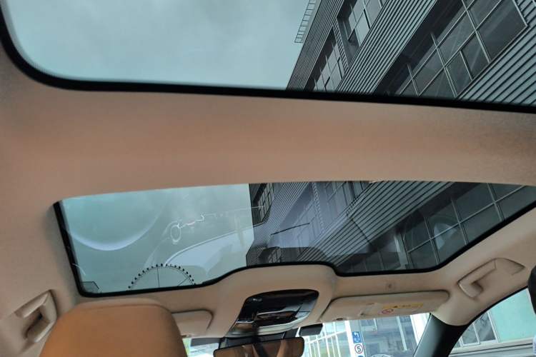Used Lexus RZ 2023 450e All-Wheel Drive Luxury Edition Headliner