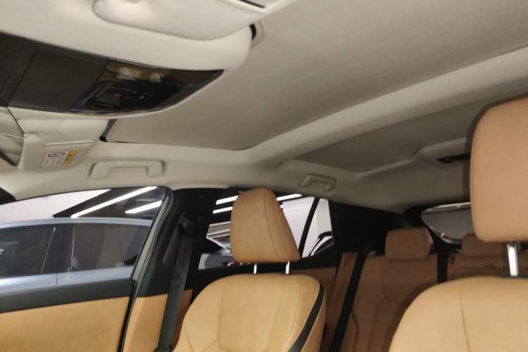 Used Lexus RZ 2023 450e All-Wheel Drive Luxury Edition Headliner