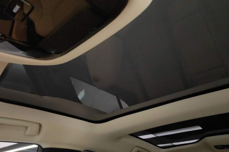 Used Lexus RZ 2023 450e All-Wheel Drive Luxury Edition Headliner