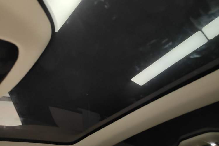 Used Lexus RZ 2023 450e All-Wheel Drive Luxury Edition Headliner