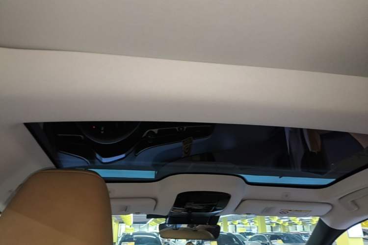 Used Lexus RZ 2023 450e All-Wheel Drive Luxury Edition Headliner