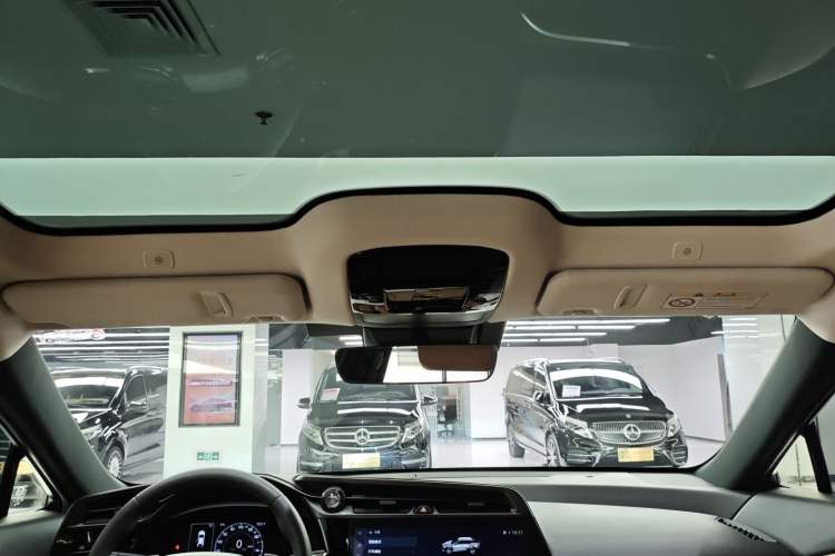 Used Lexus RZ 2023 450e All-Wheel Drive Luxury Edition Headliner