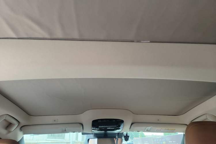 Used Lexus RZ 2023 450e All-Wheel Drive Luxury Edition Headliner