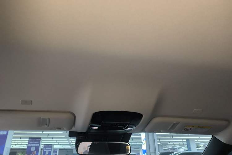 Used Lexus RZ 2023 450e All-Wheel-Drive Long-Range Version Headliner
