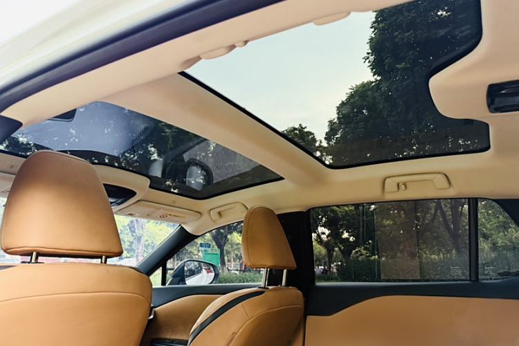 Used Lexus RZ 2023 450e All-Wheel Drive Luxury Edition Interior 10