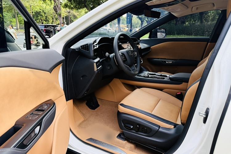 Used Lexus RZ 2023 450e All-Wheel Drive Luxury Edition Interior 12