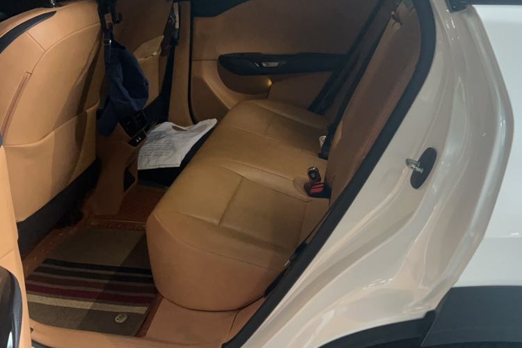 Used Lexus RZ 2023 450e All-Wheel Drive Luxury Edition Interior 2