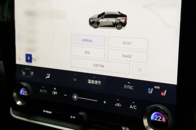 Used Lexus RZ 2023 450e All-Wheel Drive Luxury Edition Interior 3
