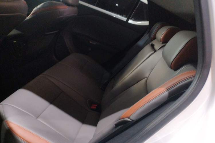 Used Lexus RZ 2023 450e All-Wheel-Drive Long-Range Version Interior 4