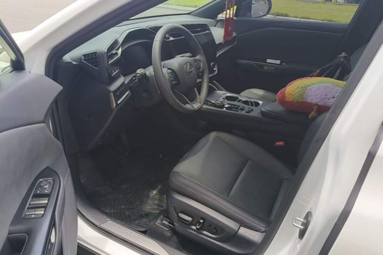 Used Lexus RZ 2023 300e Long-Range Indulgence Edition Left Front Seat
