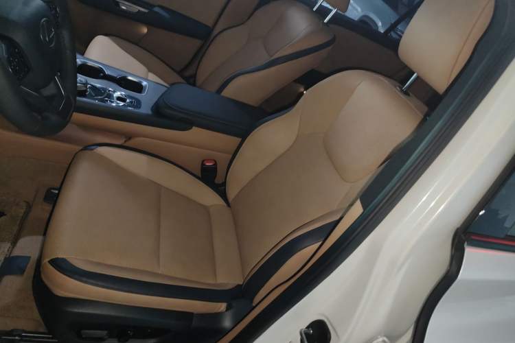 Used Lexus RZ 2023 450e All-Wheel Drive Luxury Edition Left Front Seat