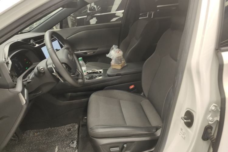 Used Lexus RZ 2023 450e All-Wheel-Drive Long-Range Version Left Front Seat