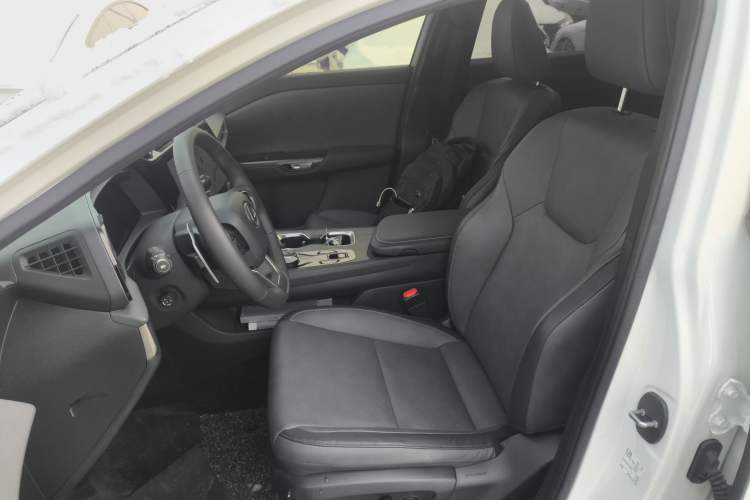 Used Lexus RZ 2023 450e All-Wheel Drive Luxury Edition Left Front Seat