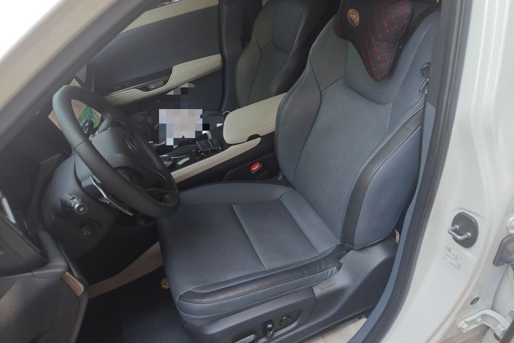 Used Lexus RZ 2023 450e All-Wheel-Drive Luxury Edition Left Front Seat