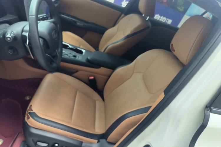 Used Lexus RZ 2023 450e All-Wheel Drive Luxury Edition Left Front Seat