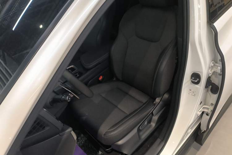 Used Lexus RZ 2023 450e All-Wheel-Drive Long-Range Version Left Front Seat