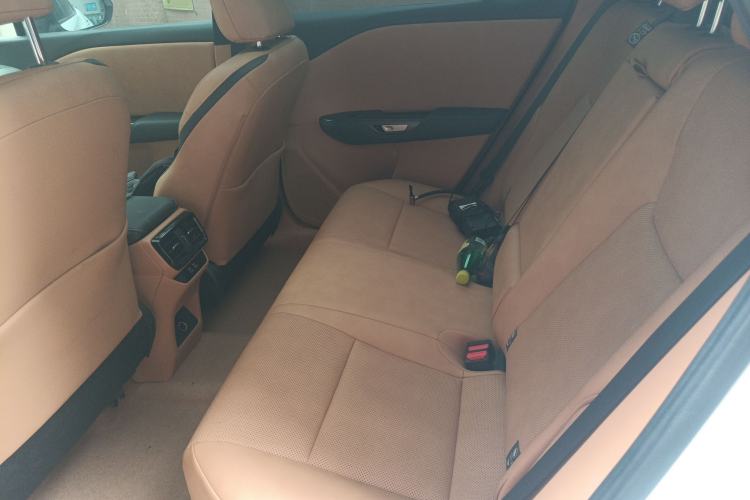 Used Lexus RZ 2023 450e All-Wheel Drive Luxury Edition Left Rear Seat