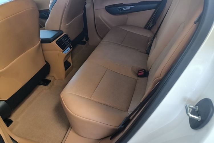 Used Lexus RZ 2023 450e All-Wheel Drive Luxury Edition Left Rear Seat