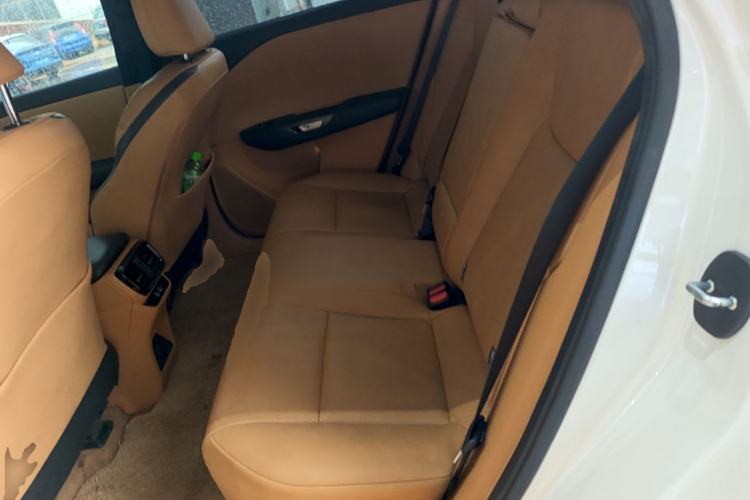Used Lexus RZ 2023 450e All-Wheel Drive Luxury Edition Left Rear Seat