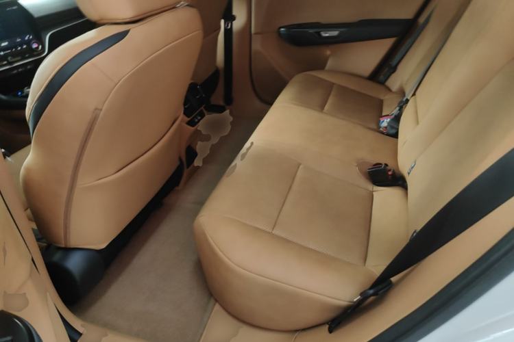 Used Lexus RZ 2023 450e All-Wheel Drive Luxury Edition Left Rear Seat
