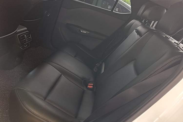Used Lexus RZ 2023 450e All-Wheel-Drive Long-Range Version Left Rear Seat