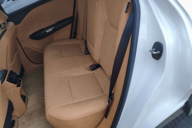 Used Lexus RZ 2023 450e All-Wheel Drive Luxury Edition Left Rear Seat