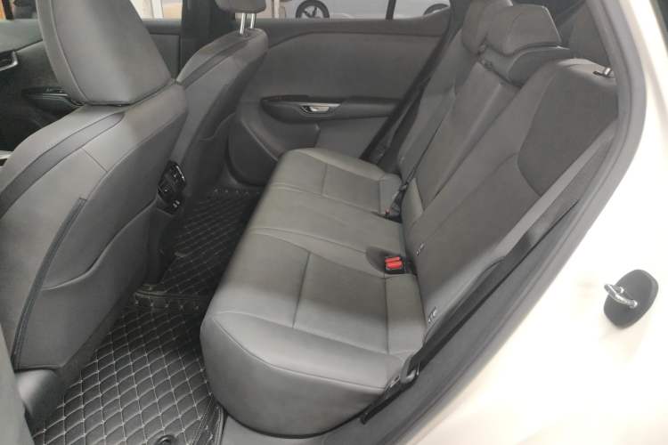 Used Lexus RZ 2023 450e All-Wheel Drive Luxury Edition Left Rear Seat