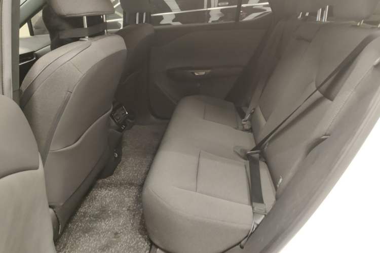 Used Lexus RZ 2023 450e All-Wheel-Drive Long-Range Version Left Rear Seat