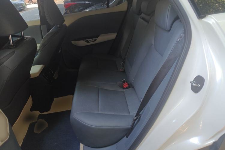 Used Lexus RZ 2023 450e All-Wheel-Drive Luxury Edition Left Rear Seat